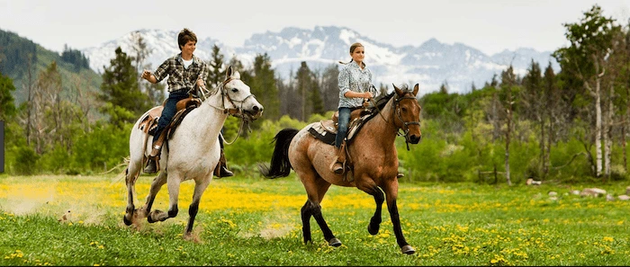Confident plus-size woman riding West Malling a horse through a field with a smile on her face.
